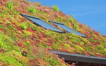 Hart Hill living roof systems